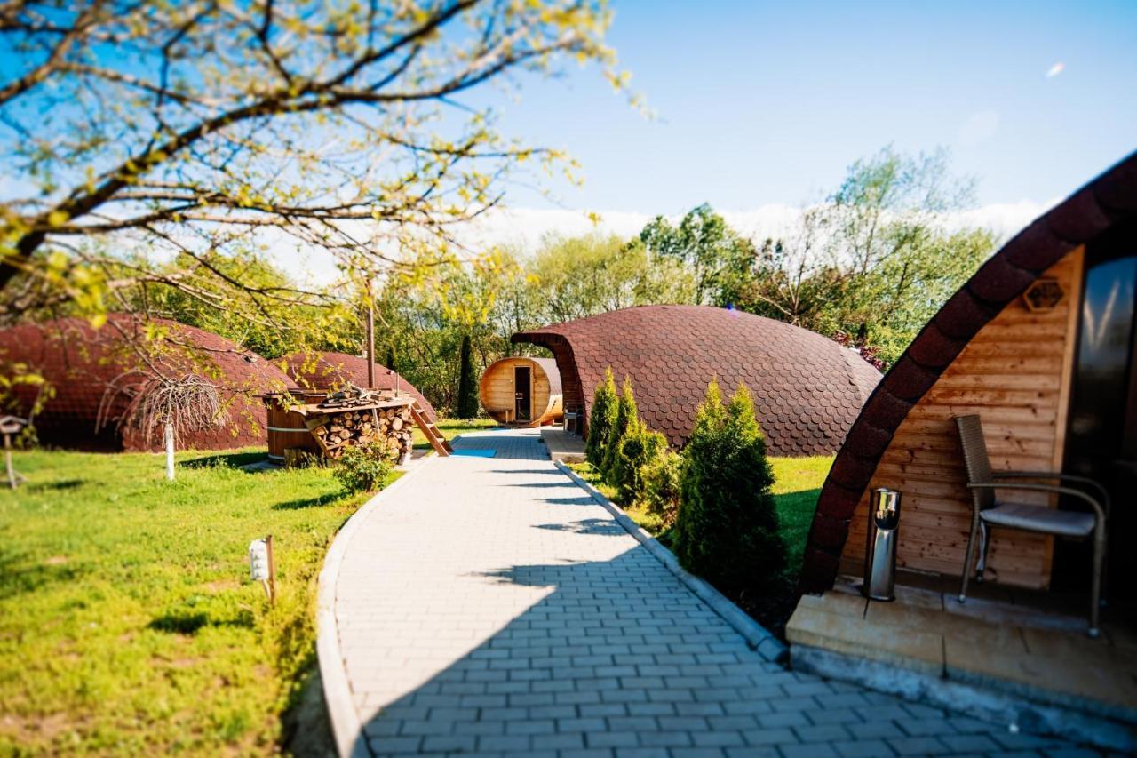 Montana Garden Hotel Rasinari Bagian luar foto